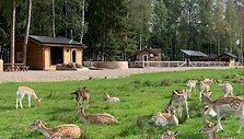&bdquo;Perlinių danielių parkas&ldquo;