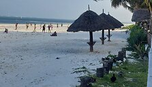 Zanzibaras