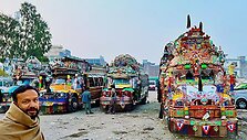 Pakistanas