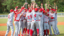 Lietuva - &Scaron;veicarija