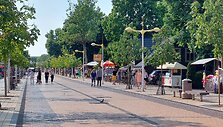 I&scaron;tu&scaron;tėjusi Palangos J.Basanavičiaus gatvė