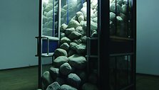 Žinia, 2005