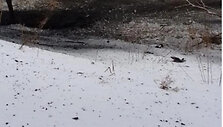 Sprogimo vietoje