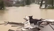 Nepaprastoji padėtis: skęsta Južno Sachalinskas Rusijoje