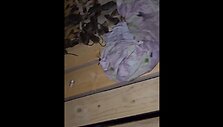 Karius fronte puola pelės