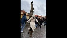 Prahos universitete nuskambėjus &scaron;aulio &scaron;ūviams kilo sąmy&scaron;is 