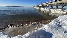 Palanga žiemą
