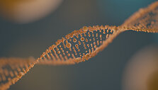 Asociatyvi nuotrauka