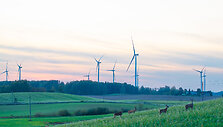 Lietuvos vėjo energetikai &ndash; 20 metų: nuo pirmųjų žingsnių iki energetinės nepriklausomybės