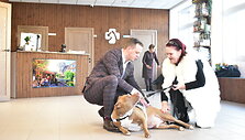 &Scaron;iauliuose duris atvėrė modernus veterinarijos centras: pacientai plūsta net i&scaron; kitų didmiesčių