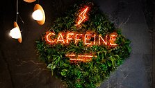 Pasitikrinkite žinias: ar atsakysite į 10 klausimų apie kavinių tinklą &bdquo;Caffeine&ldquo;?