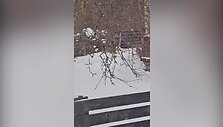 plungeje-tarp-gyvenamuju-namu-seiminkauja-lapes