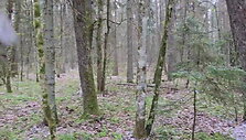 sniegas-kleboniskio-miske-kaune