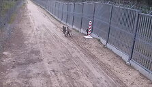 migrantai-violetai