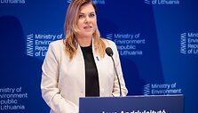 Ieva Andriulaitytė