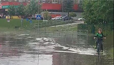 Liūtis Klaipėdoje