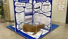 Paroda &bdquo;Nuo Arkties iki Antarkties&ldquo; atkeliavo į Vilniaus zoologijos sodą &bdquo;Zoopark&ldquo;