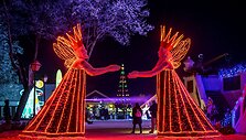 Svarbu žinoti planuojantiems aplankyti &scaron;viesų festivalius: reklamose to nepamatysite