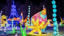Svarbu žinoti planuojantiems aplankyti &scaron;viesų festivalius: reklamose to nepamatysite