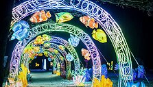 Svarbu žinoti planuojantiems aplankyti &scaron;viesų festivalius: reklamose to nepamatysite