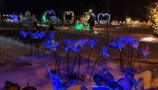 20231215_172632-min