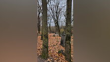 kaunieciai-piktinosi-per-velines-salia-kapiniu-vykusiu-triuksmingu-raliu