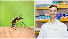 Uodo įkandimas/vaistininkas Deimantas Au&scaron;kalnis