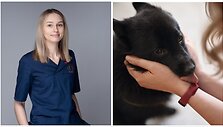 Veterinarijos gydytoja &ndash; dermatologė Daiva Jankauskaitė/ &Scaron;iperko veislės &scaron;uo