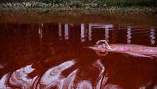 &bdquo;Swimming Through / (Iš)plaukti&ldquo;. 2022.