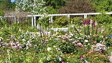 IMG_7051
