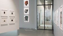 &bdquo;Stasys Museum&ldquo; gimtadienį minės tris dienas: susijungs menas, edukacijos ir breiko kultūra