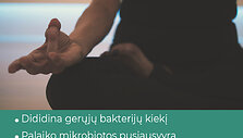 Kas yra postbiotikai ir kodėl jie svarbūs?
