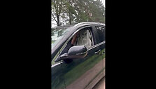 Laisvai paplūdimyje kelią pastojo i&scaron;krypėlis
