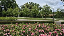 Kėdainių parkas