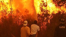 Ugniagesiai ir savanoriai gesina plintančią liepsną,