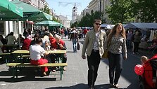 Gražios akimirkos i&scaron; tradicinio renginio &ndash; &bdquo;Lietuva &ndash; Europos žvaigždutė&ldquo;. (2009-05-08)