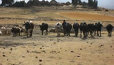 Tęsiame pasakojimą apie amžinai judančią rytų Afrikos &scaron;alį &ndash; Etiopiją, kur net plastikinis butelis gali tapti didžiausia dovana.
