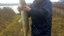 5 kg lydeka