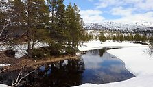 Pavasaris Norvegijos kalnuose
