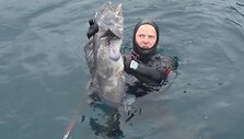 Vytauto pagautas jūrų vilkas svėrė 8 kg.