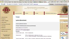 Teisėjos Laimos Garnelienės skiltis be nuotraukos