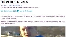 Daily mail puslapis