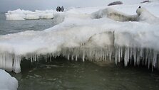Kur&scaron;ių nerija žiemą