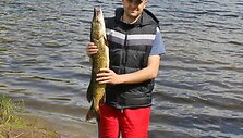 Algirdo lydeka, pagauta Dubingiuose