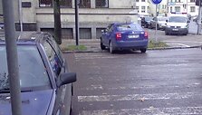 Fotopolicija: perėja