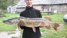 Laimono lydeka svėrė 8 kg