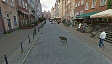 &bdquo;Google Street View&ldquo; automobilis pats įamžino incidentą.