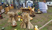 Grybų &scaron;ventės akimirka