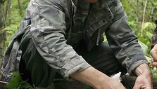 V.Putinas taikliais &scaron;ūviais užmigdė beveik pusę tonos sveriantį kačių &scaron;eimos padarą.