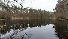 &bdquo;TrenkTuro&ldquo; Druskininkų žygis